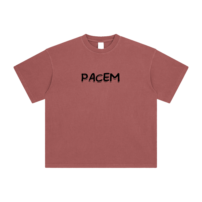 PACEM