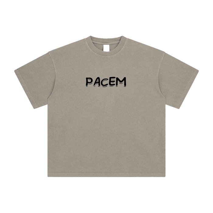 PACEM
